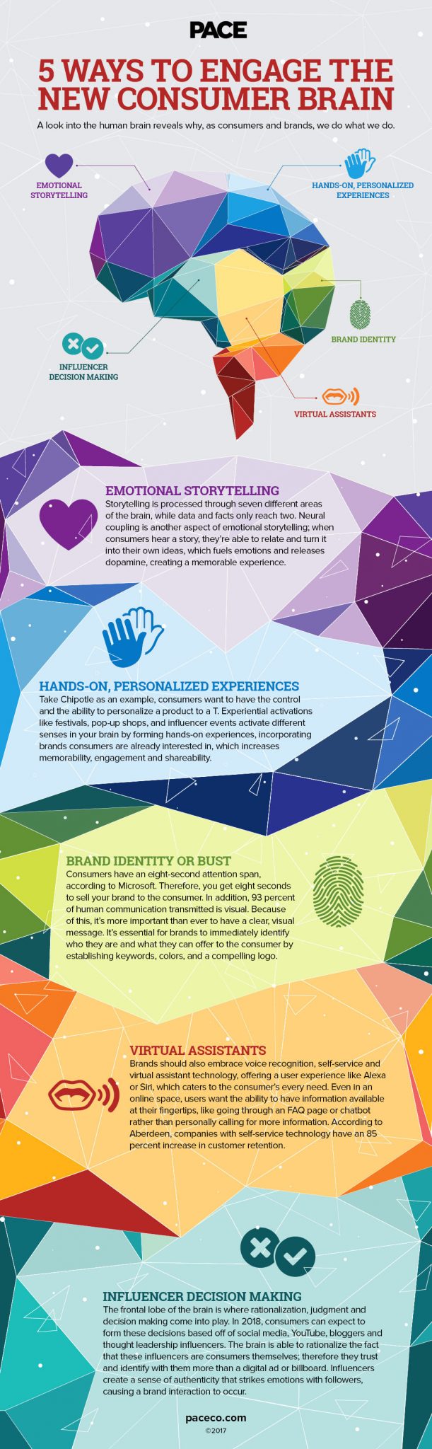 consumer brain